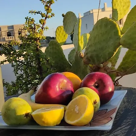 Actis Pensjonat 3*